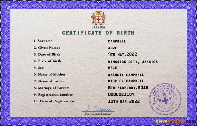 Jamaica vital record birth certificate